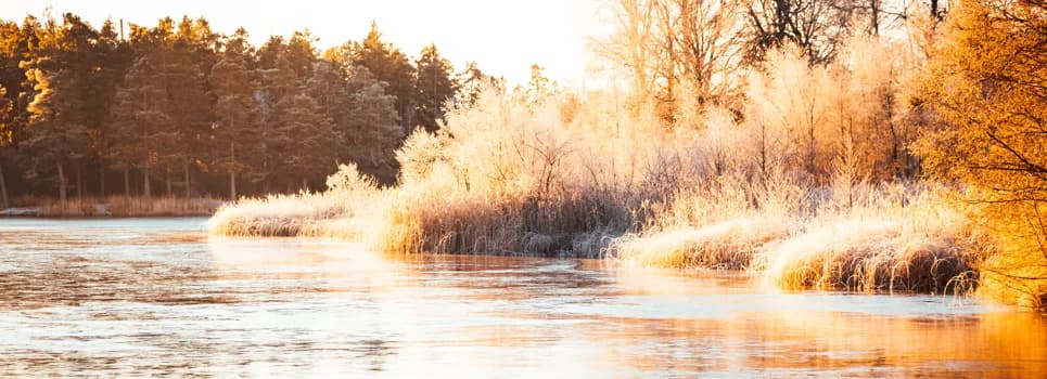 Bild på en sjö